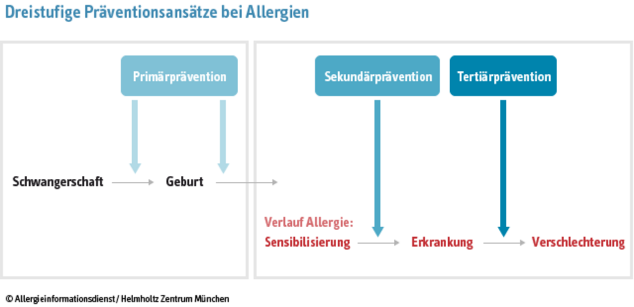 Dreistufige Präventionsansätze bei Allergien
